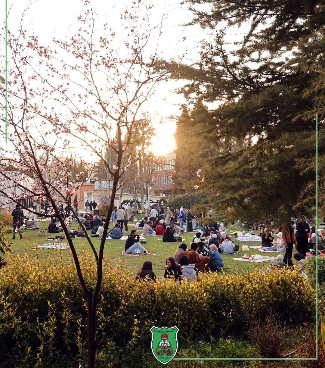 Campus Zoning — Landscaping
